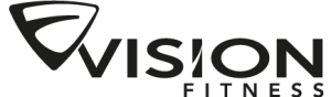 logotipo_VISION